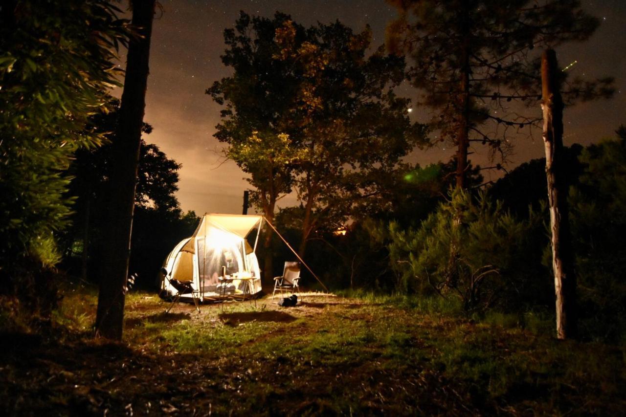 Agriturismo Ca Du Chittu Carro Екстер'єр фото