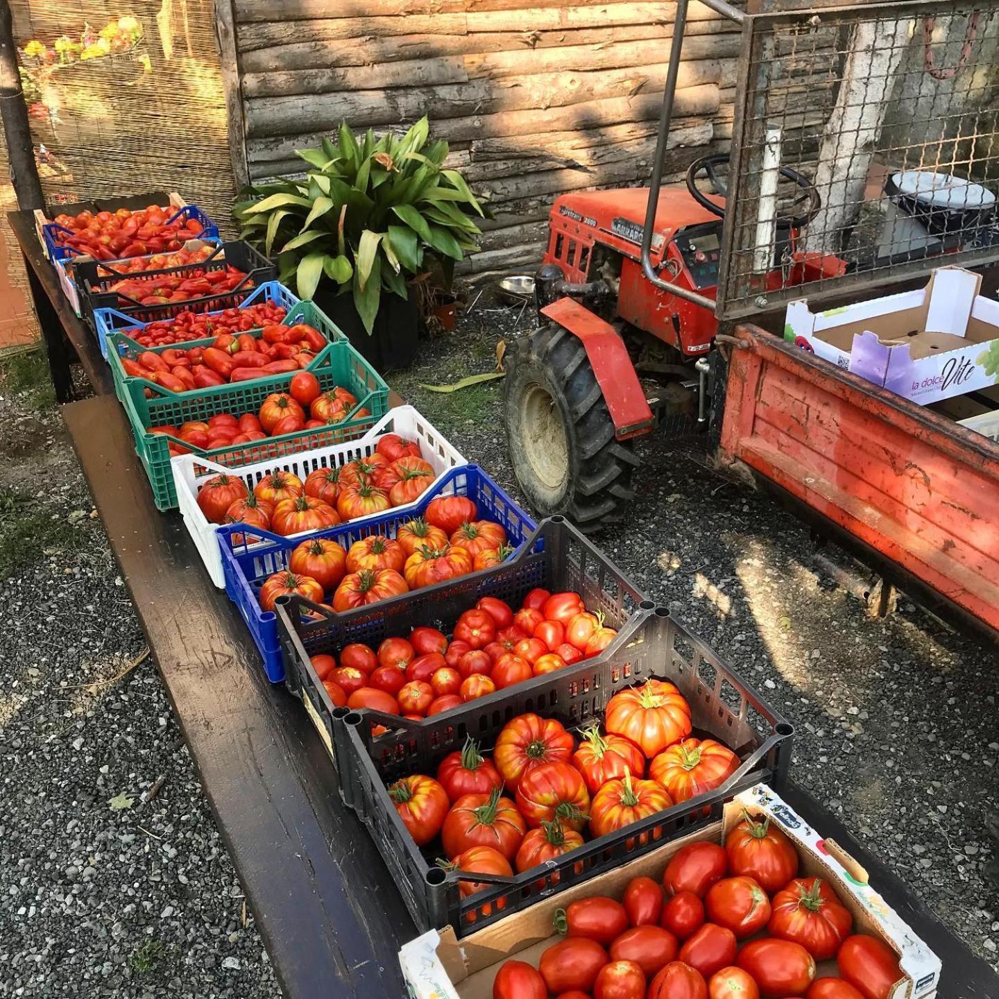 Agriturismo Ca Du Chittu Carro Екстер'єр фото